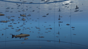 Innovasea sensors at an aquaculture farm