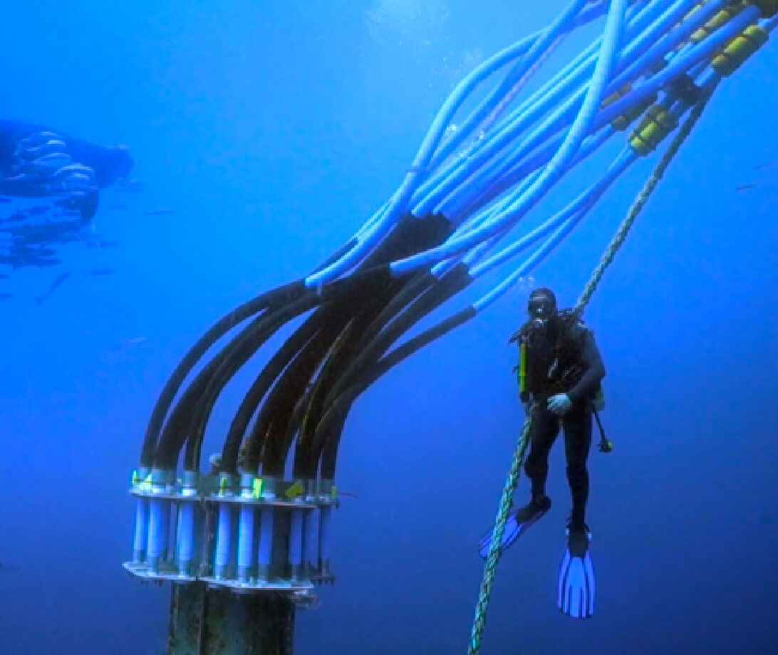 Scuba diver next to an underwater feeding system