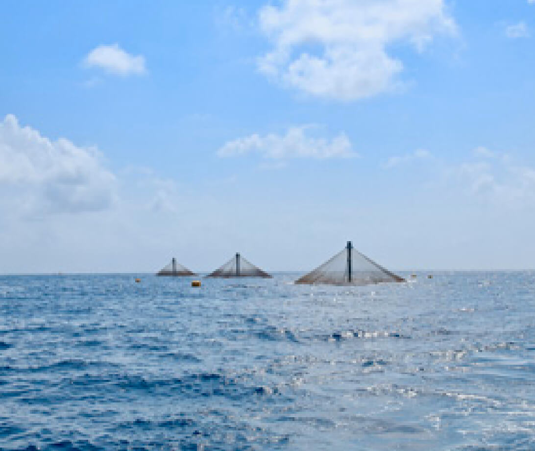 Sea Station grid