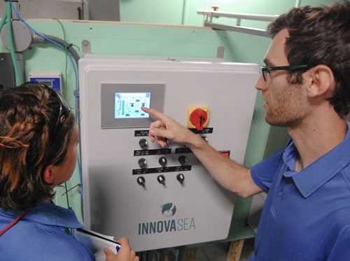 Two workers looking at a recirculating aquaculture system box