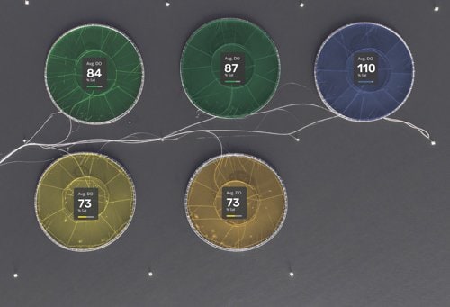 a series of open ocean aquaculture pens