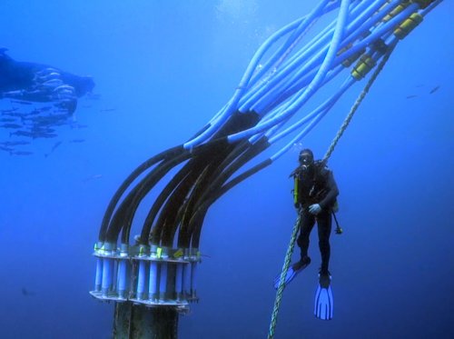 Underwater feeding system