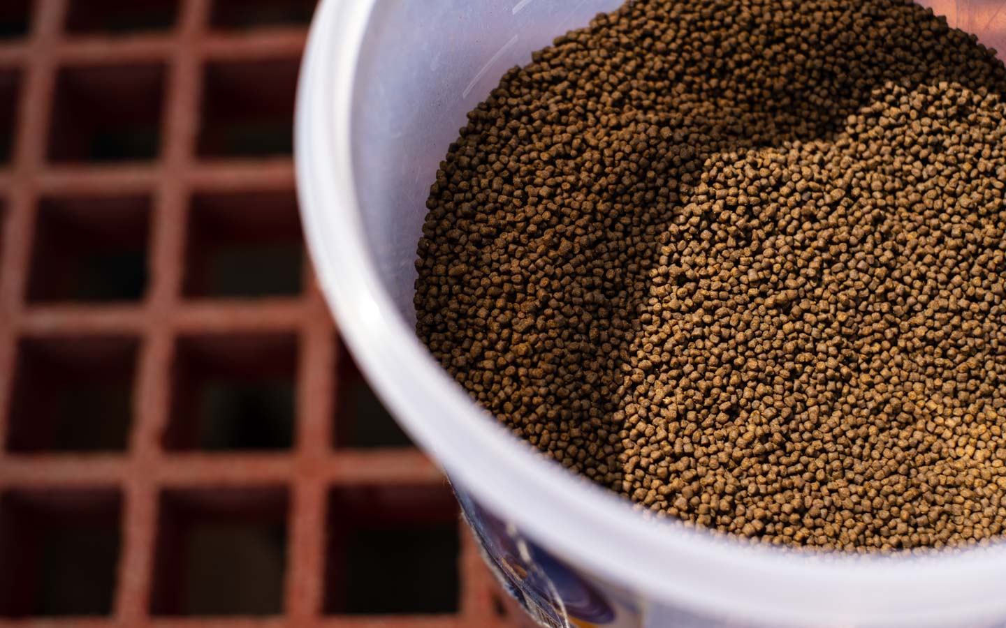 Bucket of feed