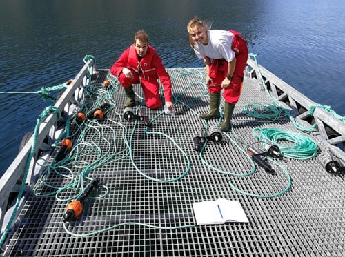 Innovasea aquaMeasure sensors laid out on a dock