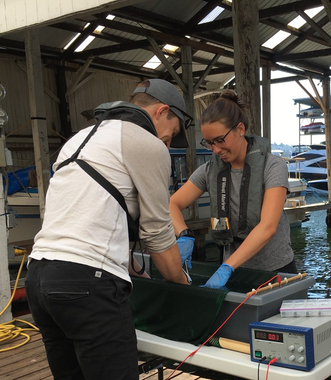 Two researchers examining an VR100 deck box