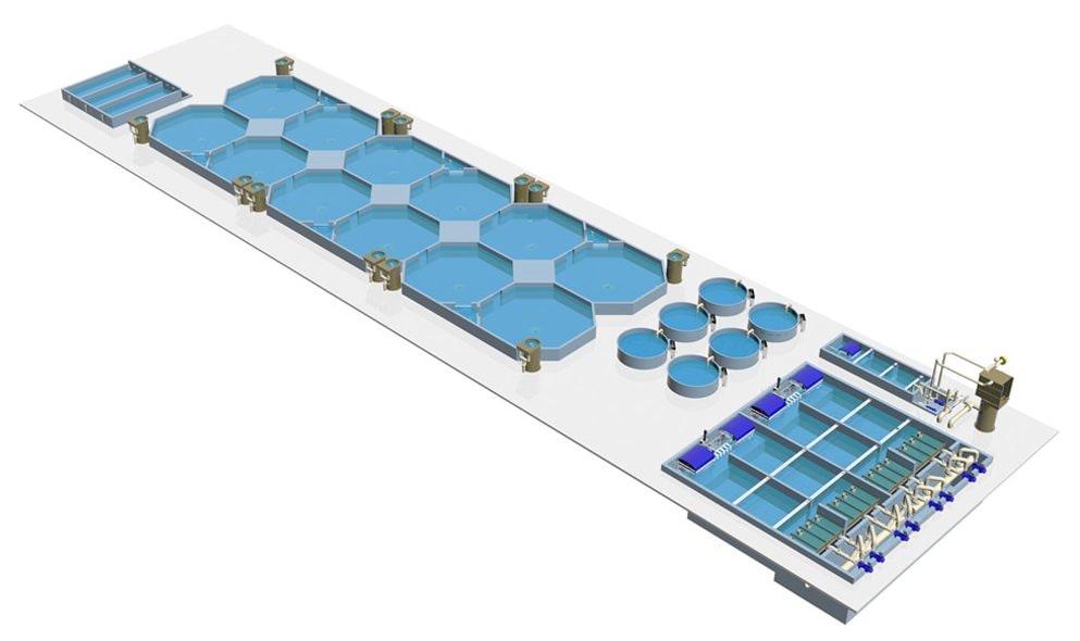 Rendering of a RAS grow out system