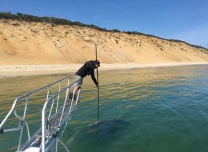Marine Biologist Greg Skomal