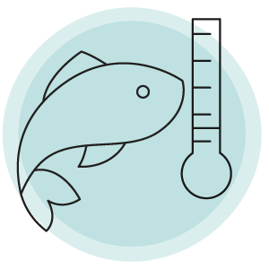 Innovasea-iconography-decrease thermal stress-300x300 Icon representing measuring temperature of fish