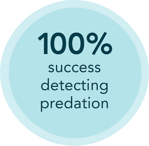 Innovasea-iconography-100success-300px