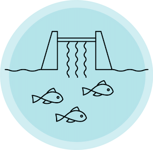 Monitor Animals Around Dams and Barriers_icon_300px