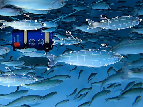 Rendition of the Biomass Pro camera