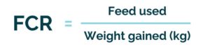 FCR = Feed used/ weight gained (kg)