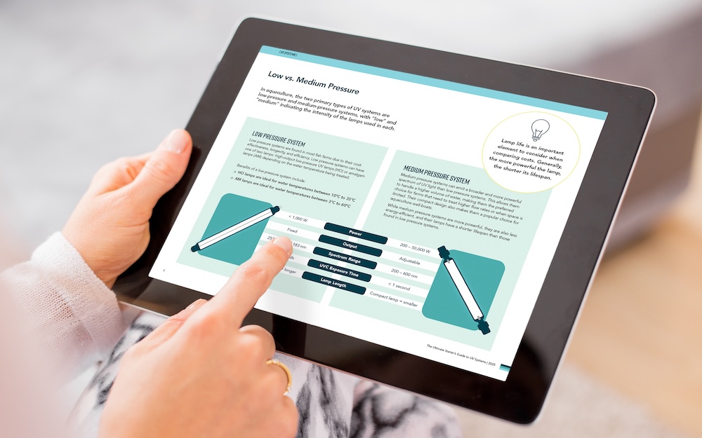 UV Buyer's guide on an iPad