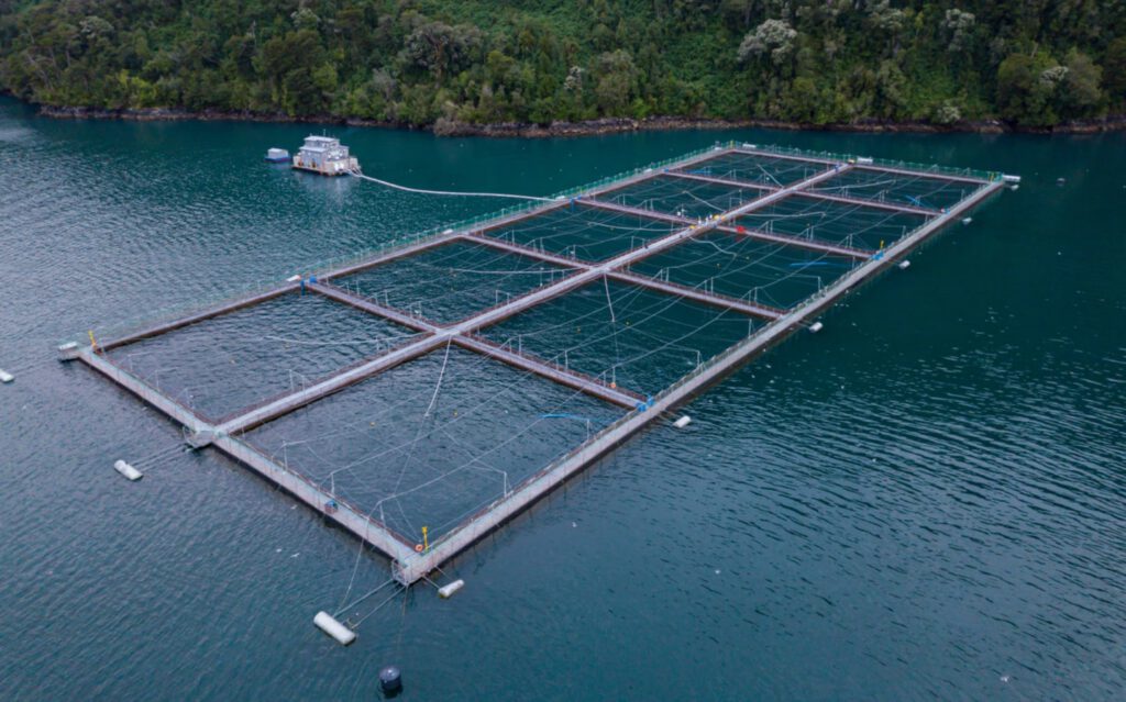 Salmon farm in Chile