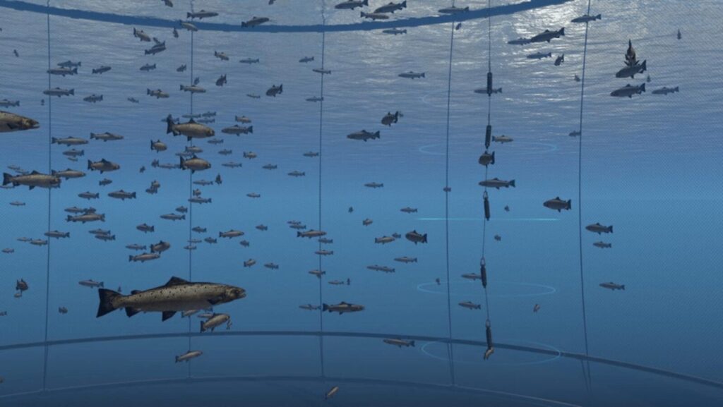 Track currents and weather