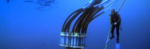 Underwater feed system