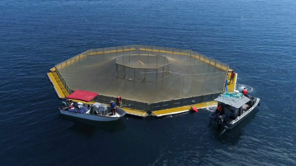 Evolution pen aerial view