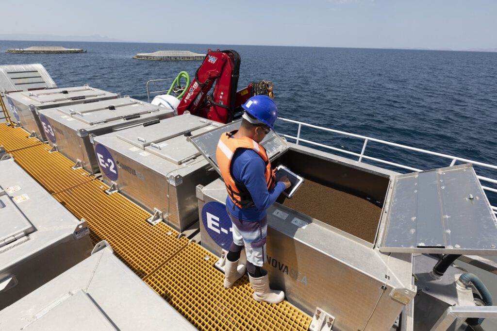 Man looking over his feed