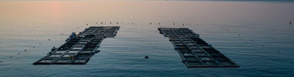 Aerial view of Aquafrais Cannes at sunset