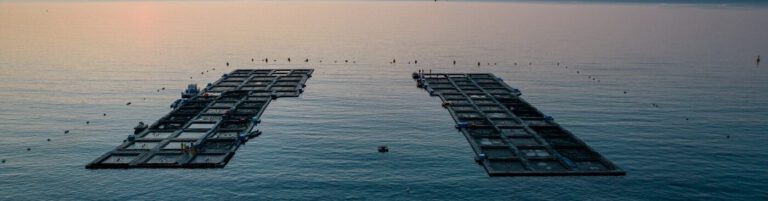 Aerial view of Aquafrais Cannes at sunset