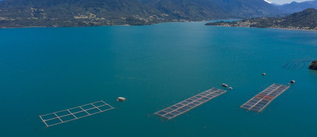 An image of a fish farm in Chile