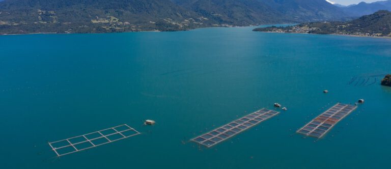 An image of a fish farm in Chile