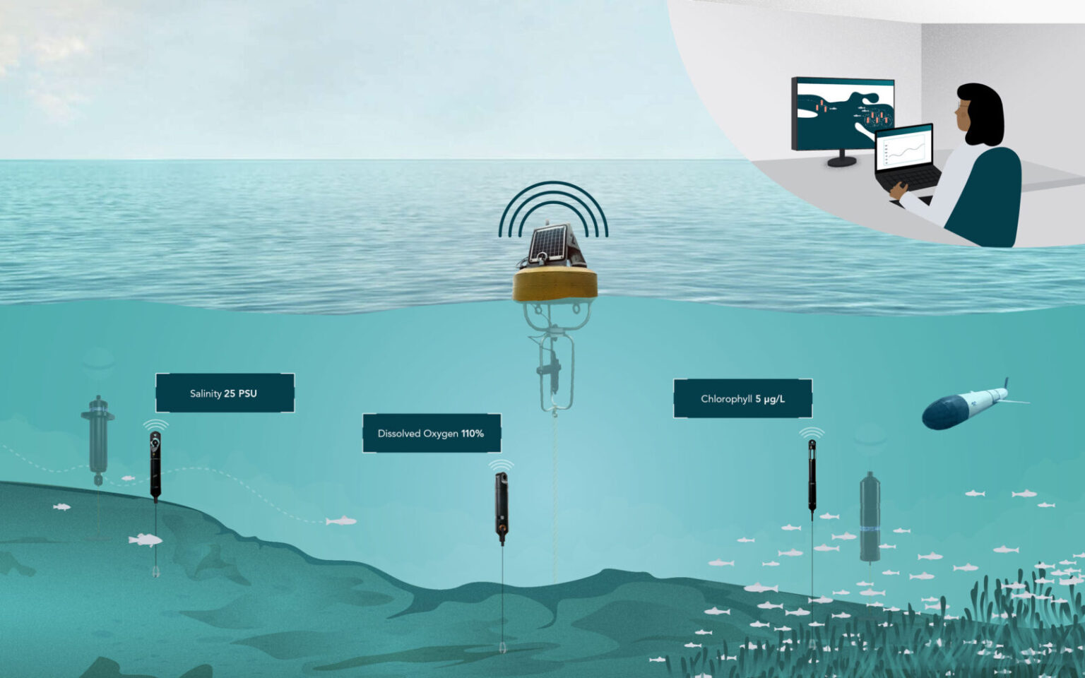 Real-Time Environmental Sensors for Aquaculture | Innovasea
