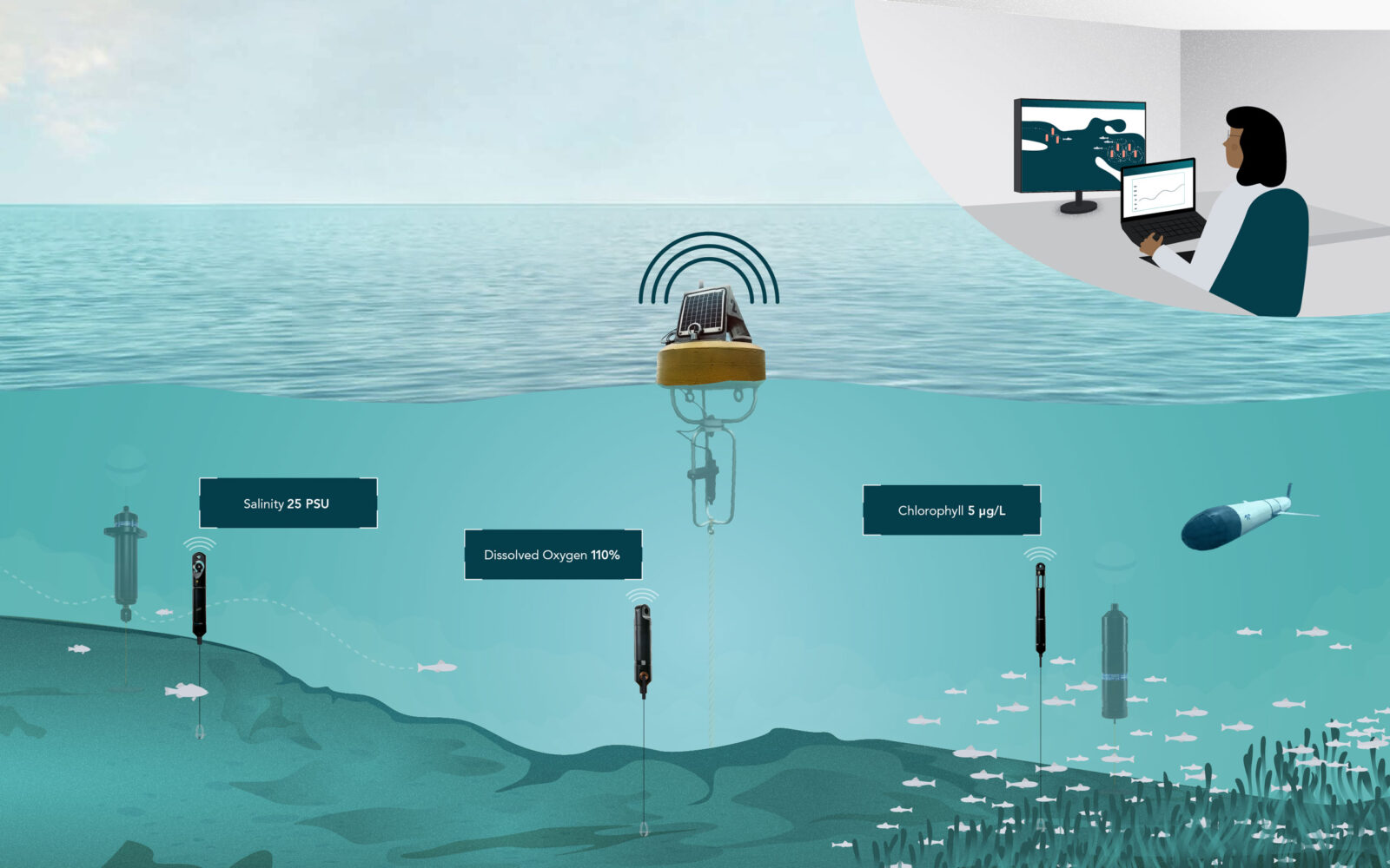 Underwater ocean monitoring system with sensors measuring salinity, dissolved oxygen, and chlorophyll levels, transmitting data wirelessly to a researcher at a computer station.