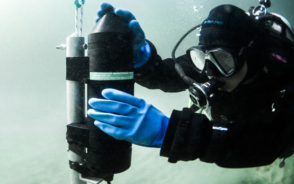 diver adding acoustic-receiver