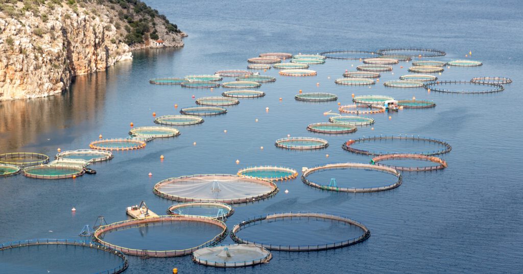 Greek fish Farm