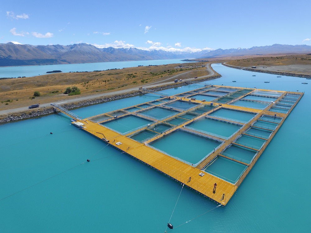 Mount Cook Alpine Salmon