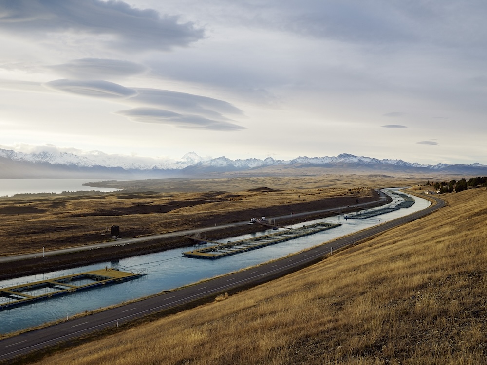 Mt Cook Alpine Salmon