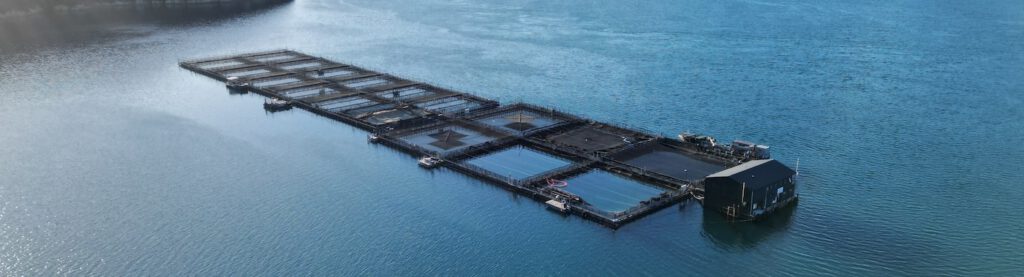 Aerial view of pens at New Zealand King Salmon