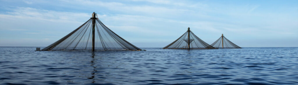 Innovasea Sea Station pens