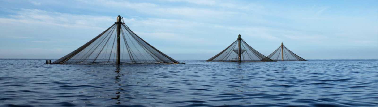 Innovasea Sea Station pens