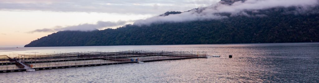 Chilean Aquaculture Farm w/ Volcano