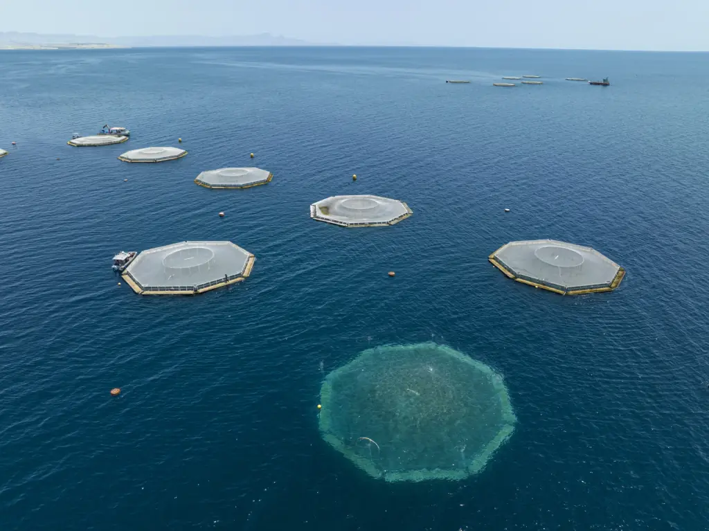 Aquaculture