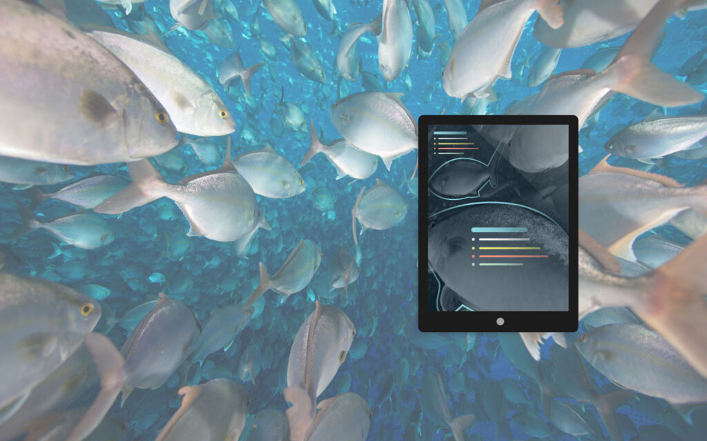 Fish in a pen with a device on top showing AI abilities