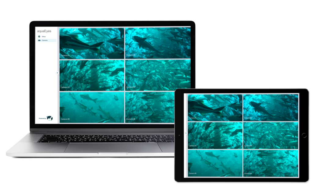 Advanced live view software 