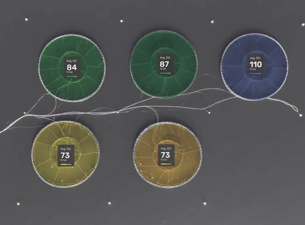 Real-time environmental monitoring