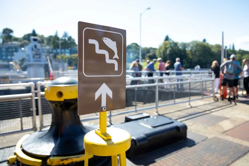 Brown directional sign with white fish symbol and arrow pointing forward, mounted on yellow post at waterfront with boats and people in background.