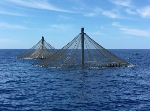 Innvoasea open ocean pens