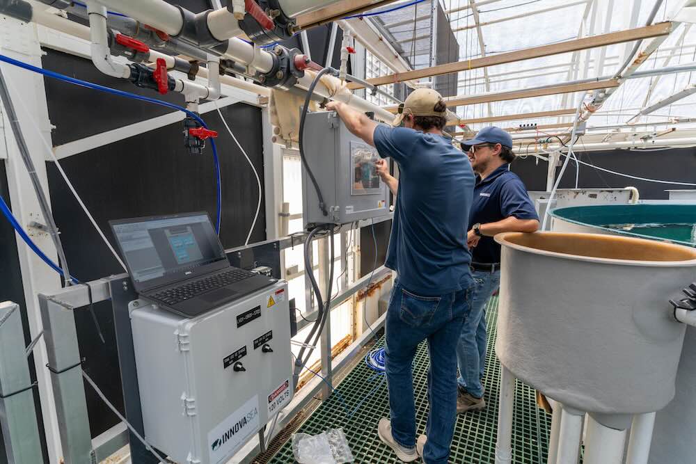 Innovasea Aquaculture Consulting RAS installation