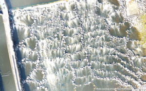 North Carolina’s Cape Fear River