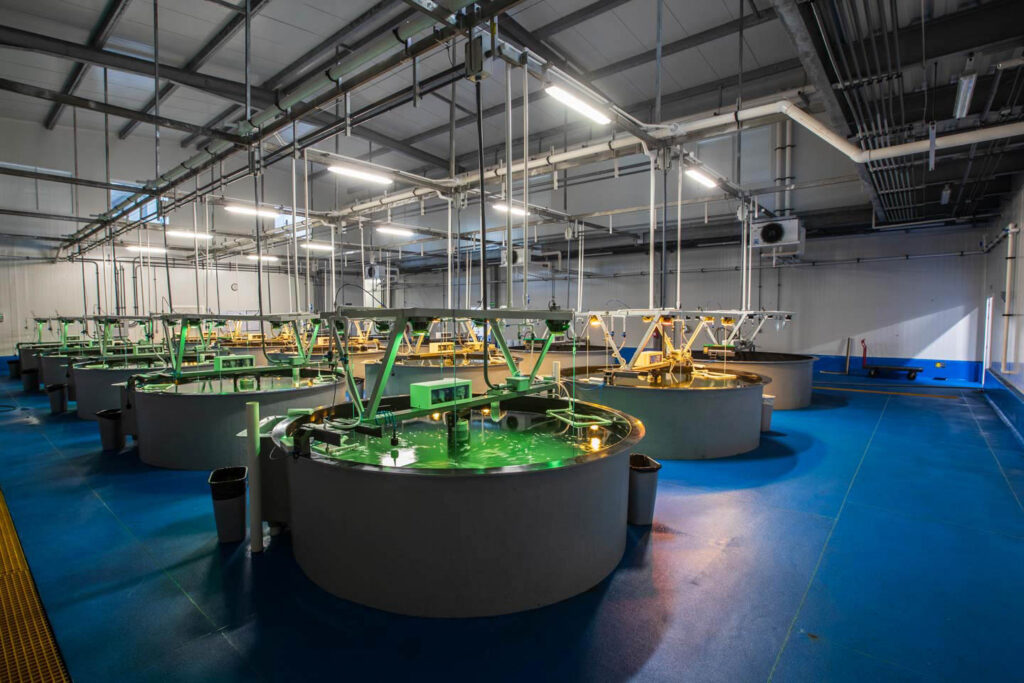 Streamline production with an integrated solution 