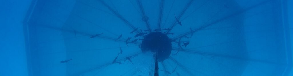 SeaStation formatted for header