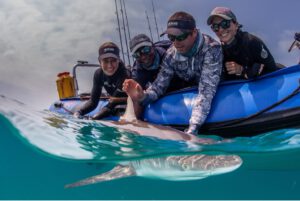 Dr. Ryan Daly and team tagging a shark