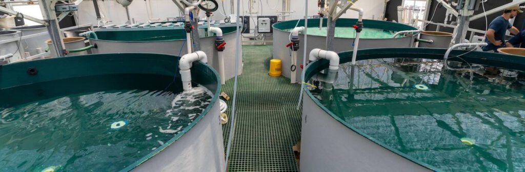 The university of miami-fish tanks