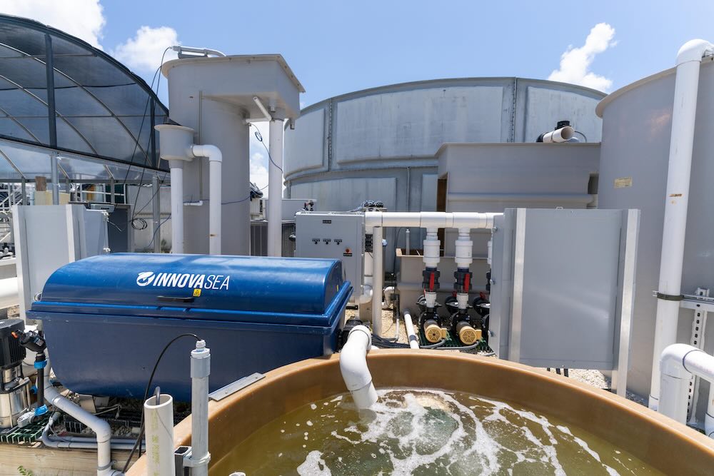 Improve operations through water reuse systems