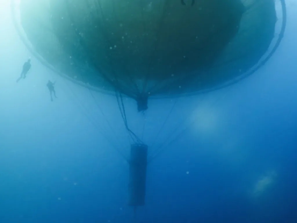 Large net pen floating underwater with translucent bell-shaped body and trailing tentacles in blue ocean water.